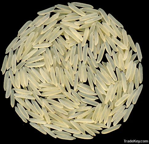 سیلا چاول کائنات 