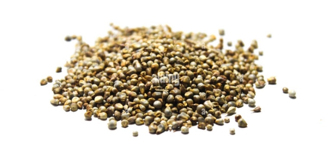 باجر  چھنا ھوا