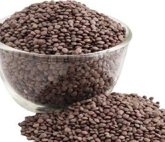 سابت مسور دیسی