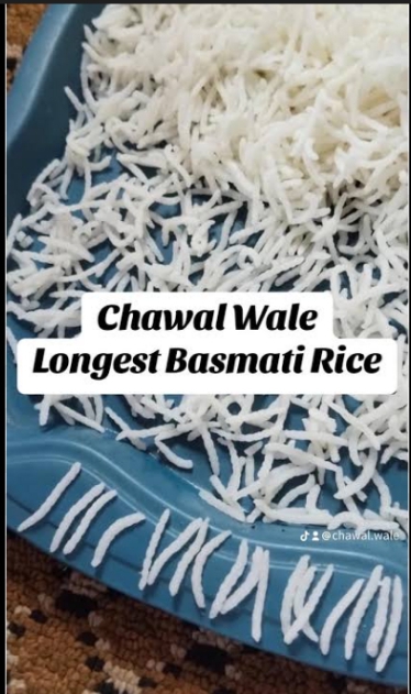 سٹیم کائنات احمد 